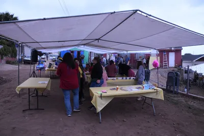 DSC_1287 (Large).JPG